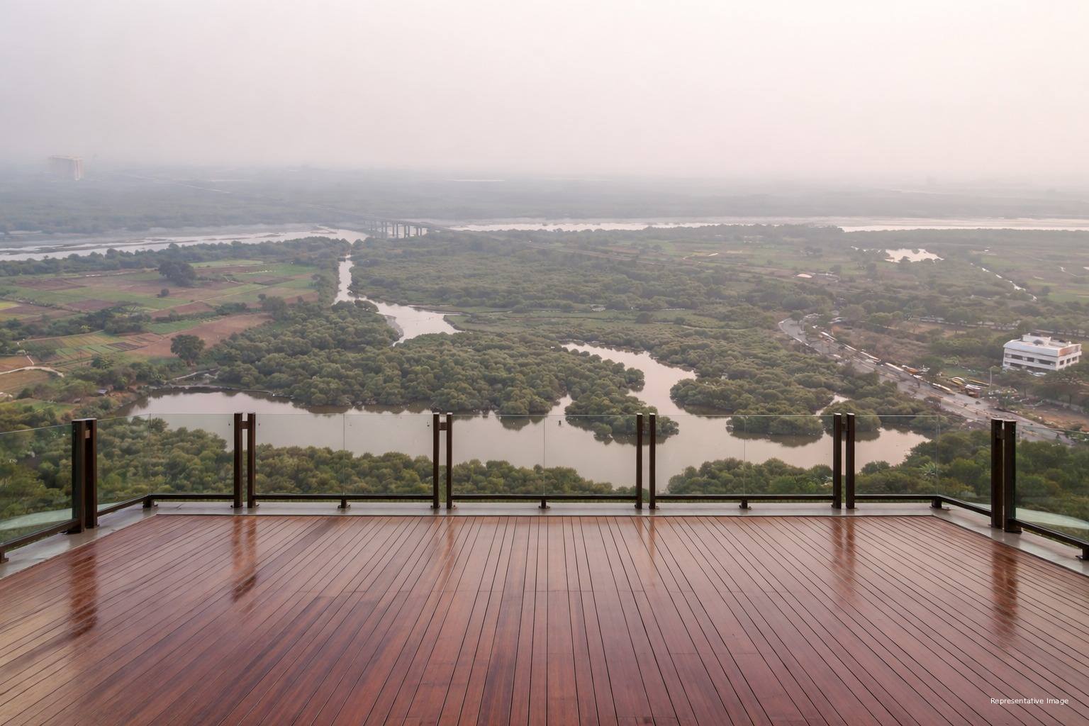 View